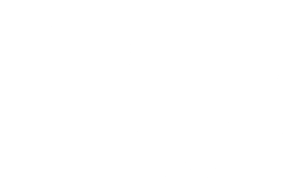 Bummotorsport